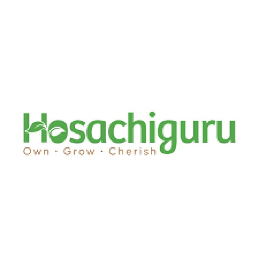 Hosachiguru logo